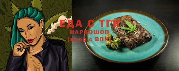 шишки Новозыбков