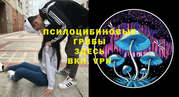 дживик Новокубанск