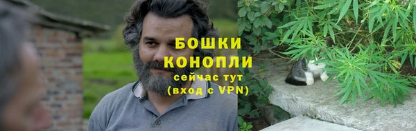 крисы Вязники