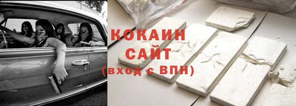 шишки Новозыбков