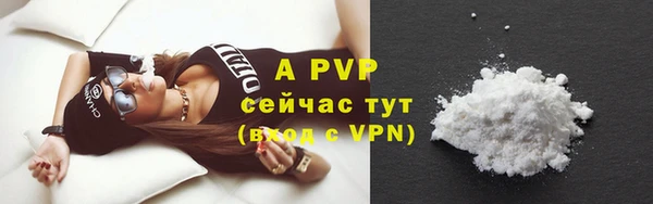 шишки Новозыбков