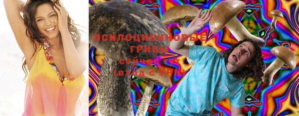2c-b Вяземский