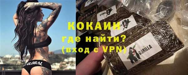 шишки Новозыбков