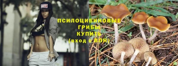 2c-b Вяземский