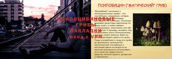 Альфа ПВП Вязьма