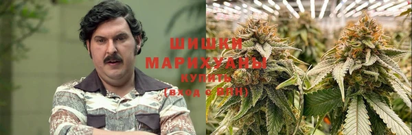 спайс Новодвинск