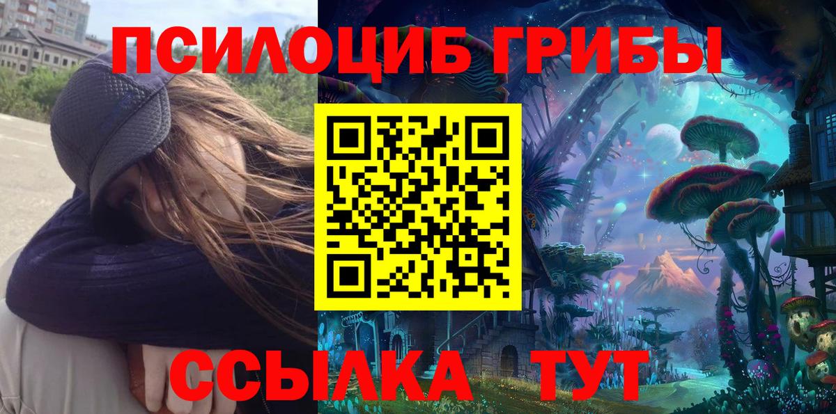магазин    Вход с VPN  Радужный  Галлюциногенные грибы мицелий 